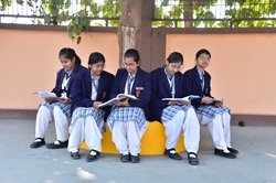 Career guidance discussion